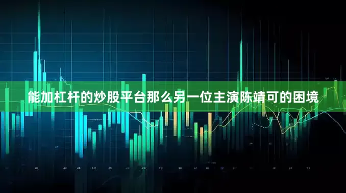 能加杠杆的炒股平台那么另一位主演陈靖可的困境